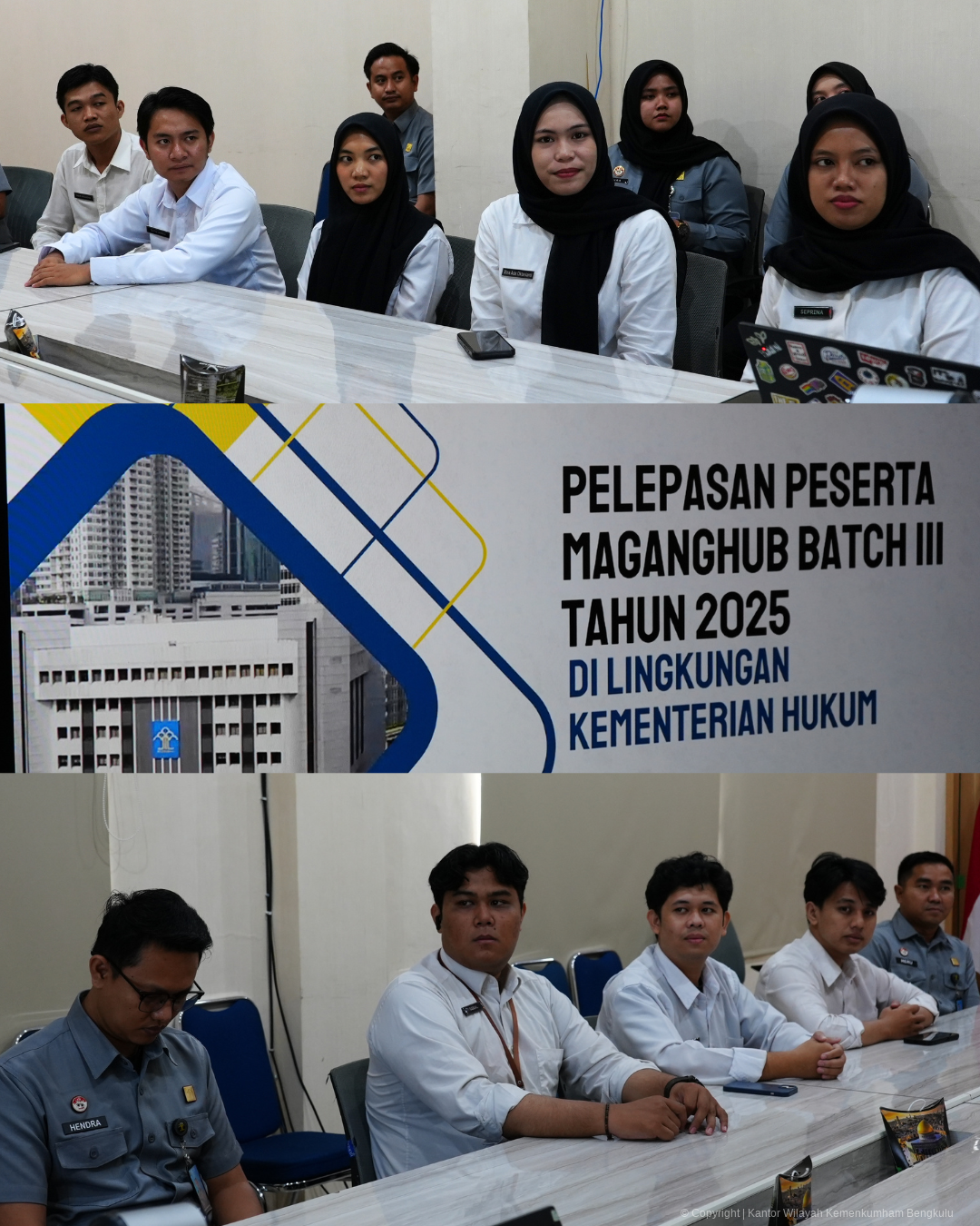 lepas_mghub_3.png